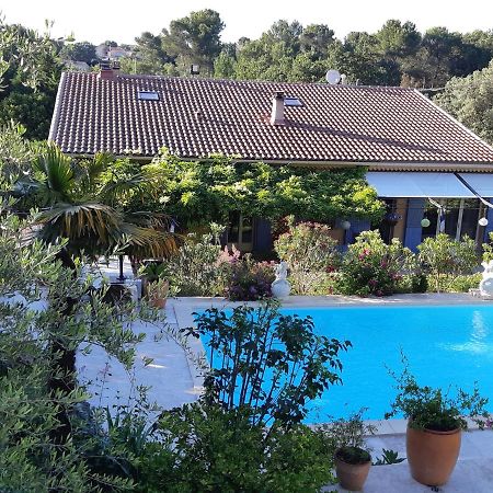 Villa La Licorne Piscine Privee, Jacuzzi, Massages, Tennis, Golf A 9Km Belcodene Exteriér fotografie