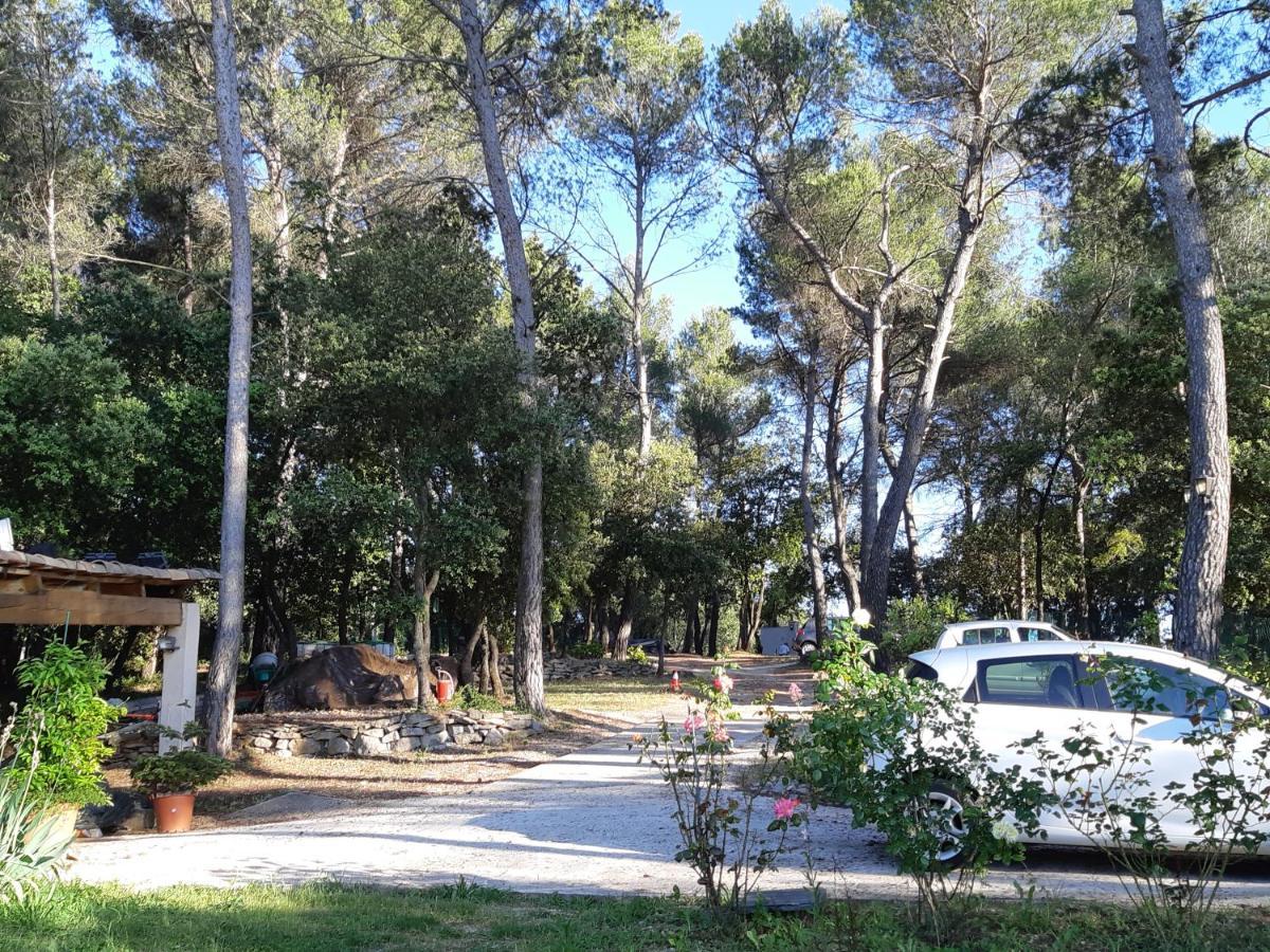 Villa La Licorne Piscine Privee, Jacuzzi, Massages, Tennis, Golf A 9Km Belcodene Exteriér fotografie